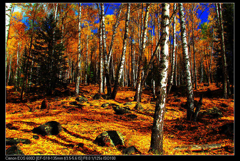 �������ػ͡������2 342_nEO_IMG.jpg