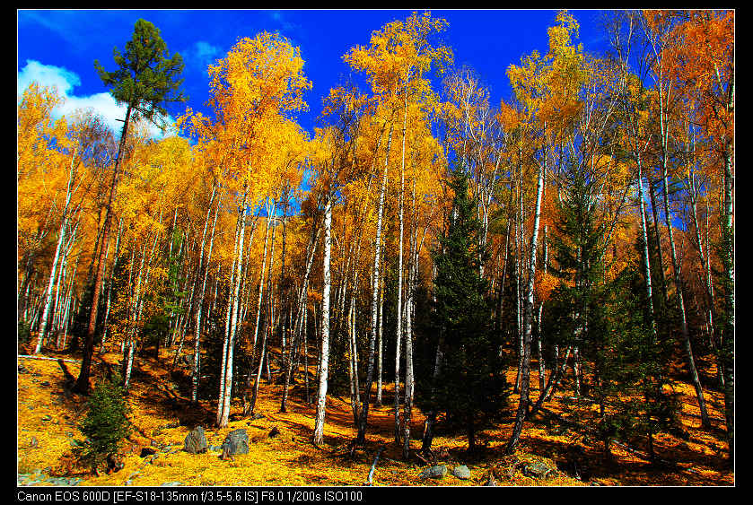 �������ػ͡������2 345_nEO_IMG.jpg