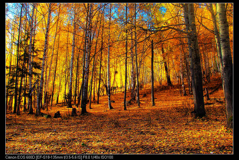 �������ػ͡������2 358_nEO_IMG.jpg