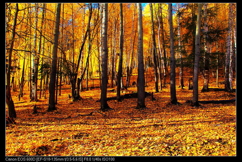 �������ػ͡������2 361_nEO_IMG.jpg