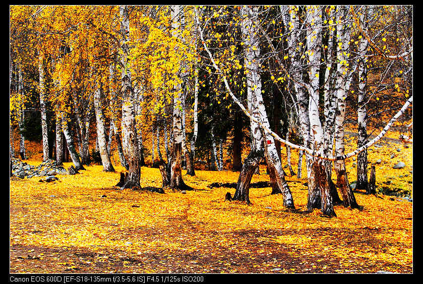 �������ػ͡������2 548_nEO_IMG.jpg