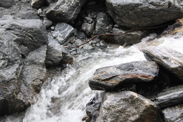 ͽ����Խ���������֮�� (370).JPG