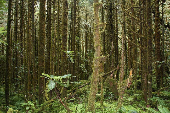 ͽ����Խ���������֮�� (375).JPG