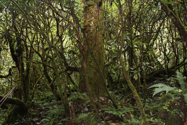 ͽ����Խ���������֮�� (376).JPG