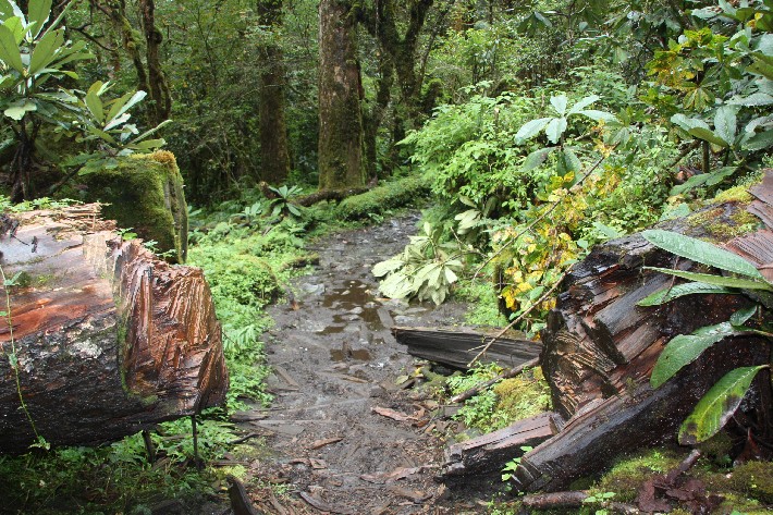 ͽ����Խ���������֮�� (378).JPG