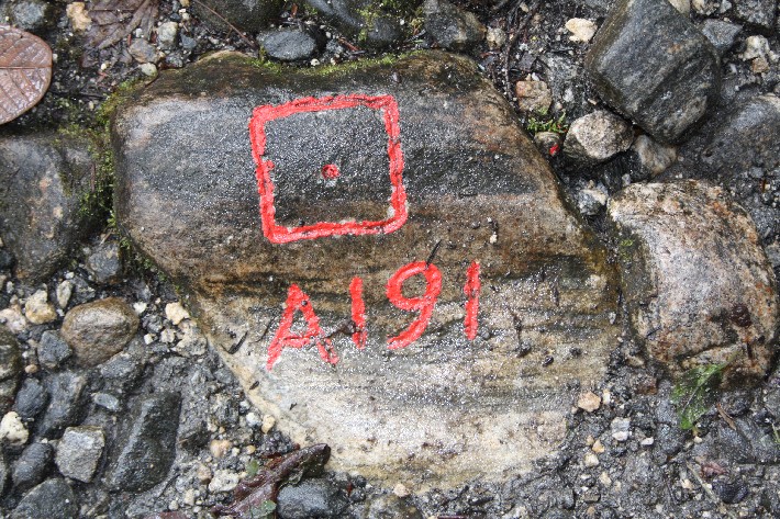 ͽ����Խ���������֮�� (379).JPG