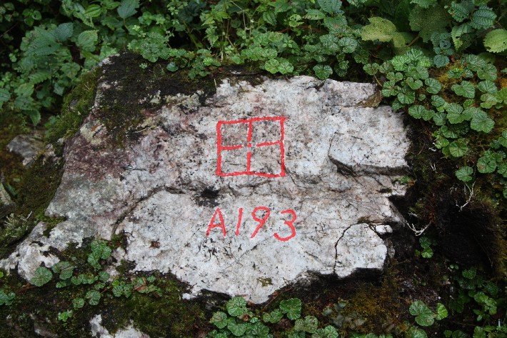 ͽ����Խ���������֮�� (382).JPG