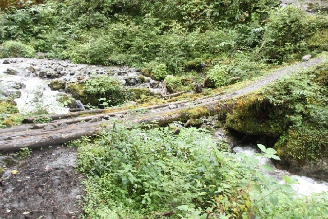 ͽ����Խ���������֮�� (383).JPG