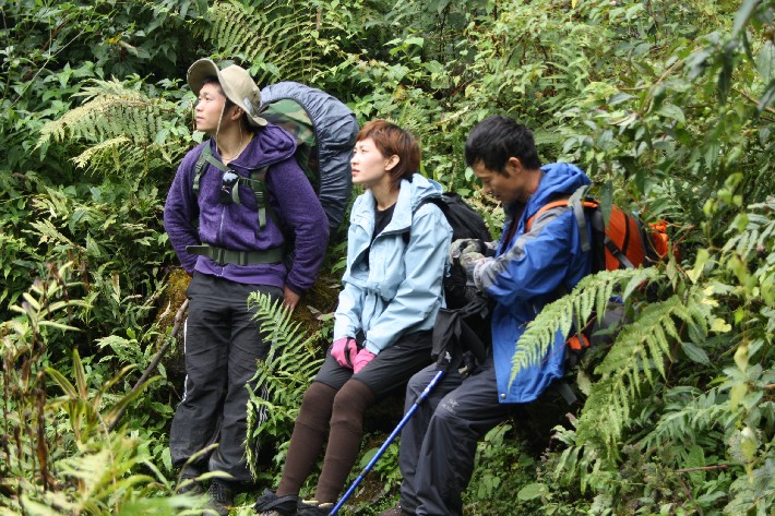 ͽ����Խ���������֮�� (387).JPG