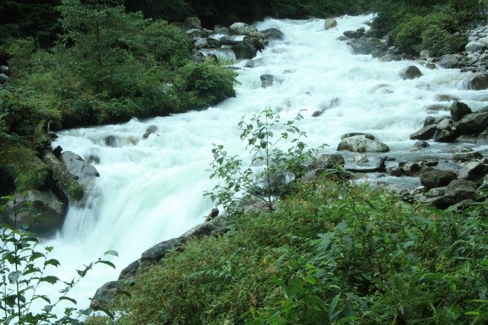 ͽ����Խ���������֮�� (393).JPG