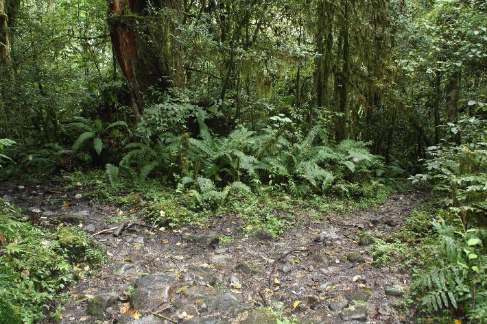 ͽ����Խ���������֮�� (394).JPG