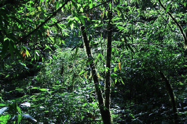 ͽ����Խ���������֮�� (404).JPG