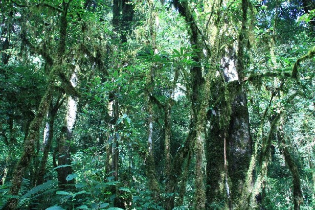 ͽ����Խ���������֮�� (405).JPG