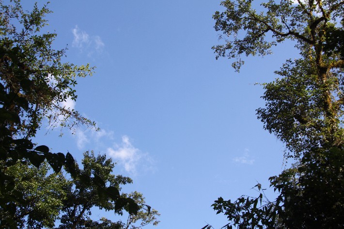 ͽ����Խ���������֮�� (402).JPG