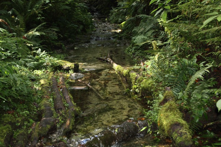 ͽ����Խ���������֮�� (406).JPG