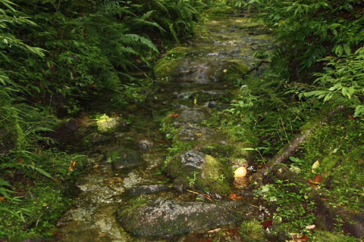 ͽ����Խ���������֮�� (407).JPG