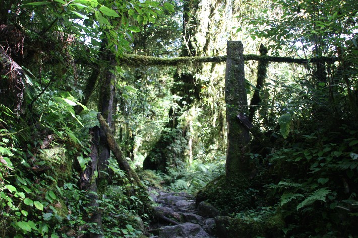 ͽ����Խ���������֮�� (409).JPG