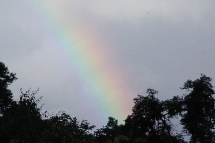 ͽ����Խ���������֮�� (432).JPG