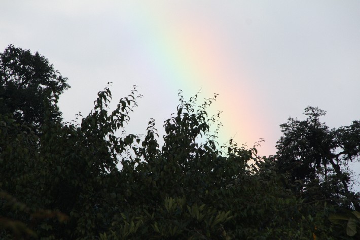 ͽ����Խ���������֮�� (436).JPG