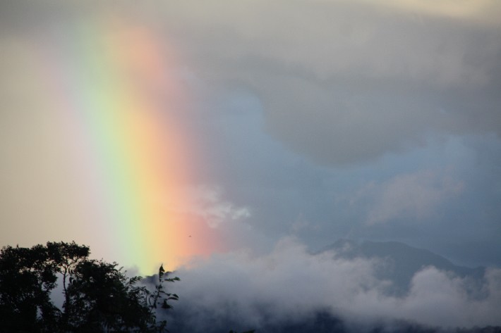 ͽ����Խ���������֮�� (444).JPG