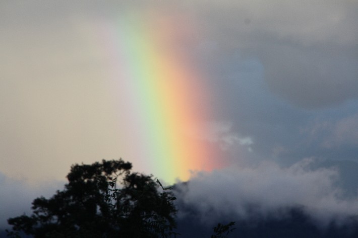 ͽ����Խ���������֮�� (443).JPG