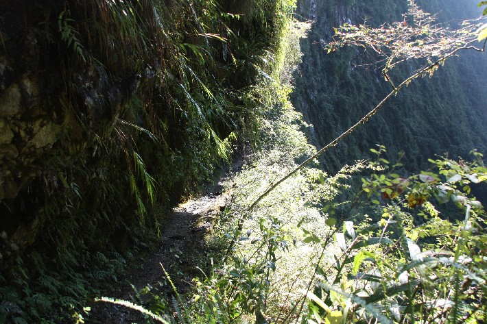 ͽ����Խ���������֮�� (495).JPG