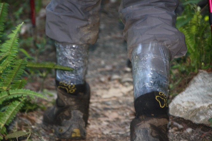 ͽ����Խ���������֮�� (589).JPG