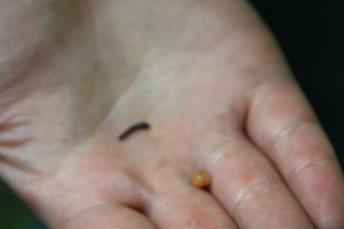 ͽ����Խ���������֮�� (413).JPG