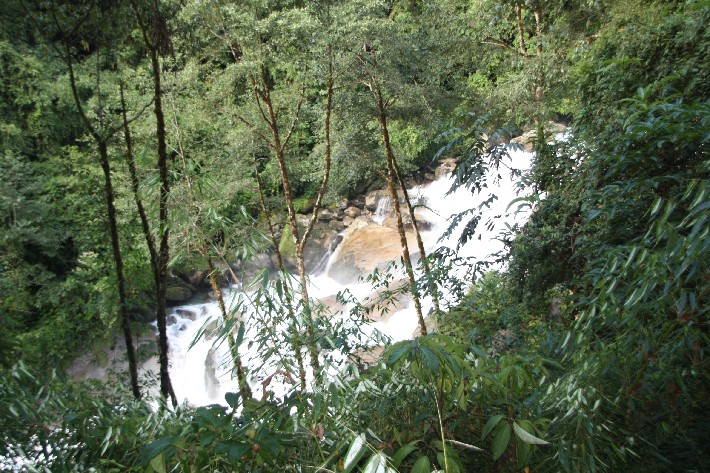 ͽ����Խ���������֮�� (462).JPG