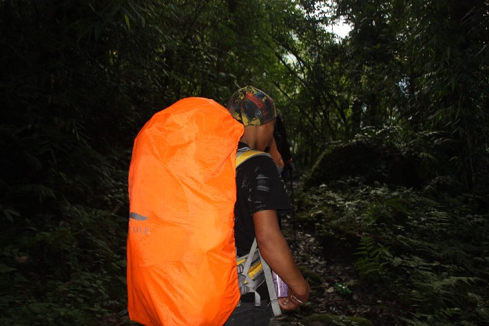 ͽ����Խ���������֮�� (465).JPG