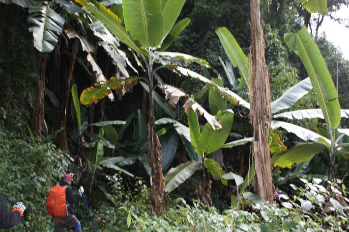 ͽ����Խ���������֮�� (467).JPG