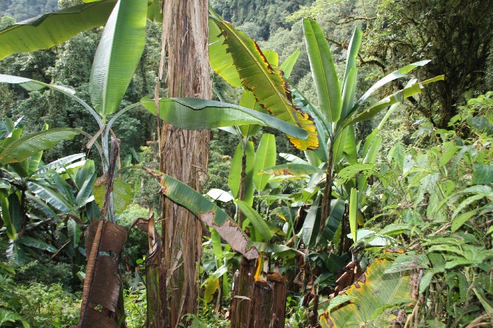 ͽ����Խ���������֮�� (468).JPG