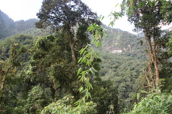 ͽ����Խ���������֮�� (469).JPG