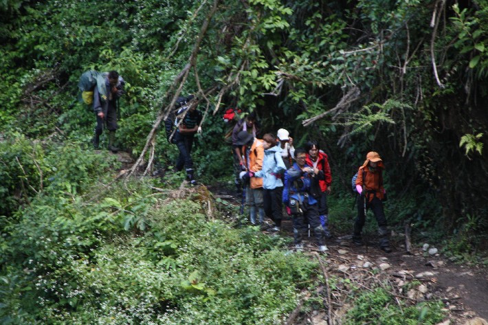 ͽ����Խ���������֮�� (479).JPG