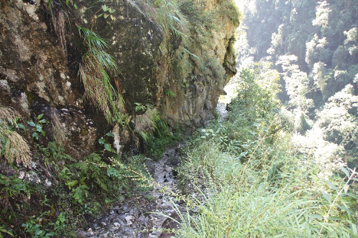 ͽ����Խ���������֮�� (490).JPG