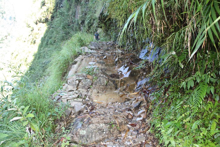 ͽ����Խ���������֮�� (500).JPG