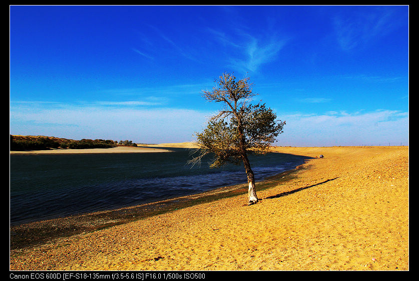 �������ػ͡������1 806_nEO_IMG.jpg