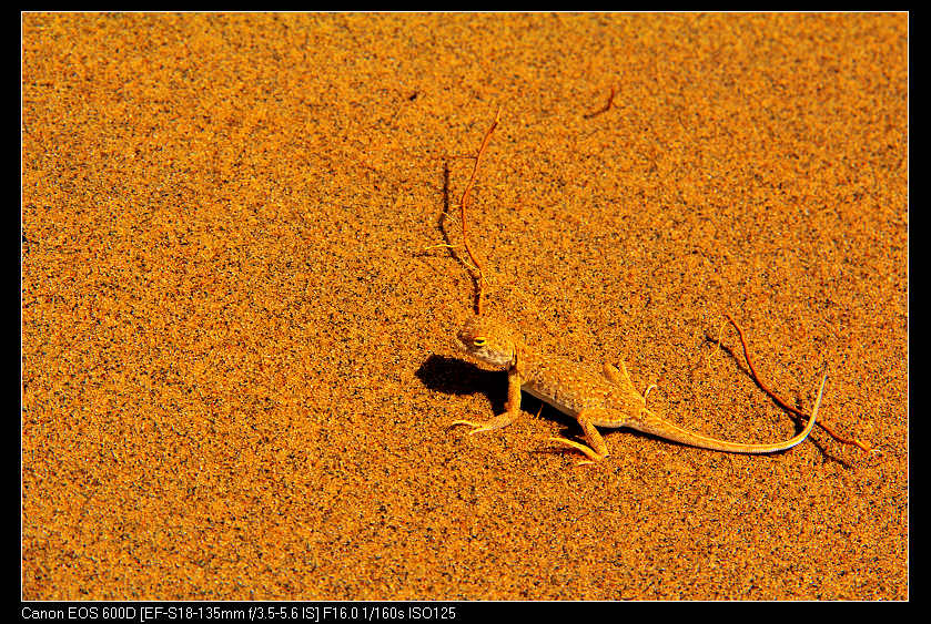 �������ػ͡������1 880_nEO_IMG.jpg