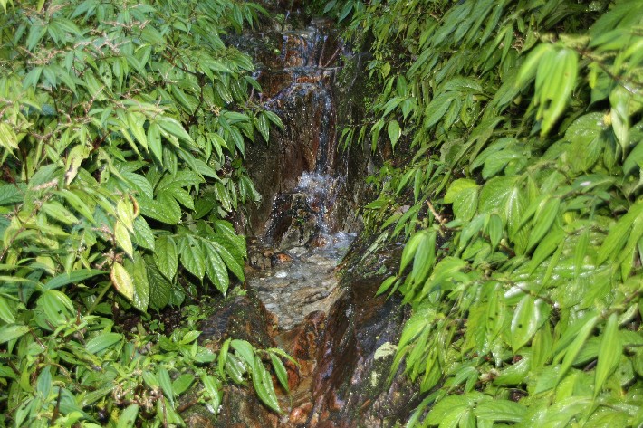 ͽ����Խ���������֮�� (501).JPG