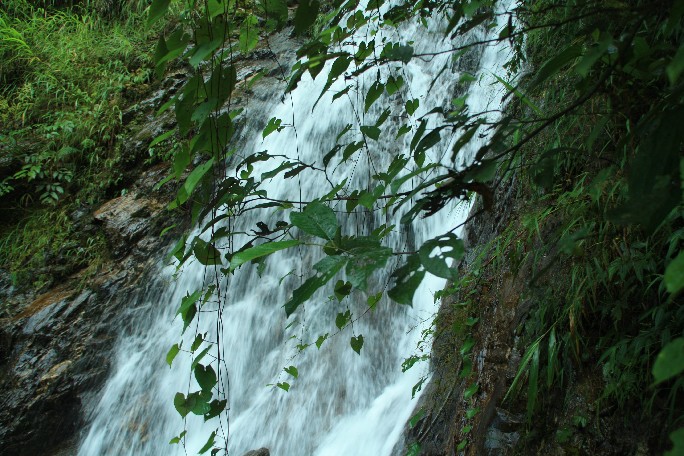 ͽ����Խ���������֮�� (471).JPG