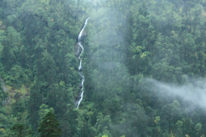 ͽ����Խ���������֮�� (317).JPG