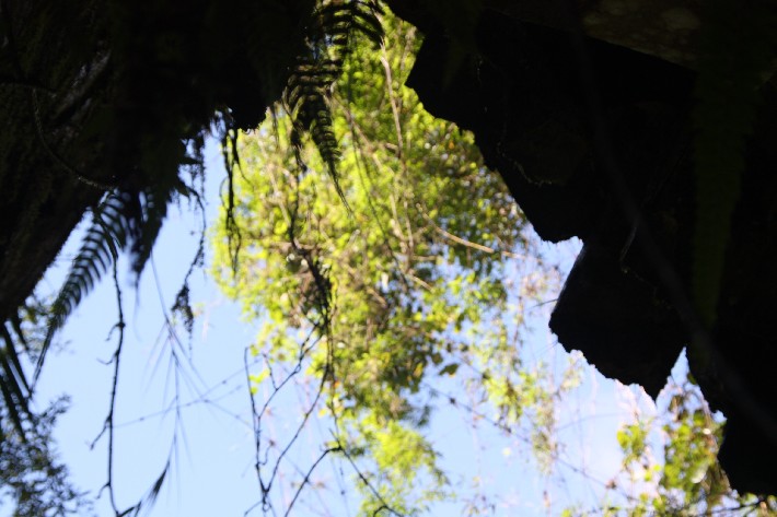 ͽ����Խ���������֮�� (498).JPG