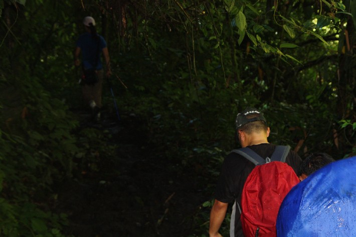 ͽ����Խ���������֮�� (507).JPG