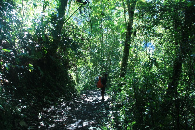 ͽ����Խ���������֮�� (508).JPG