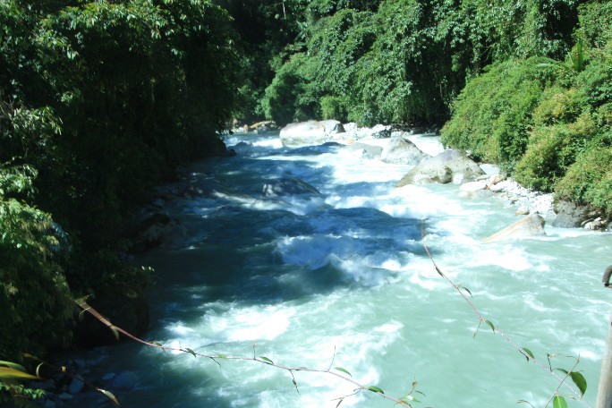 ͽ����Խ���������֮�� (520).JPG