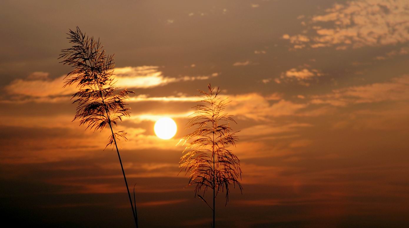 ������С 700_7102���յ�̫��.jpg