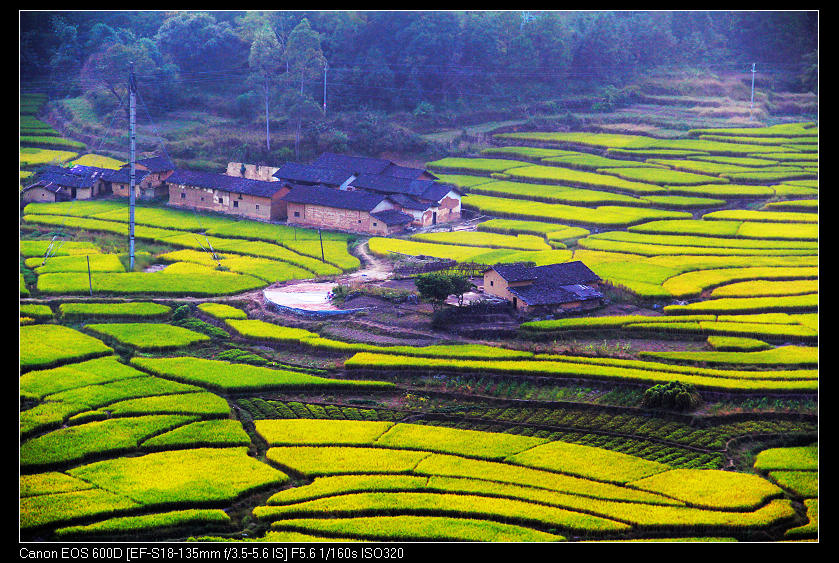 ����ɽ���� 097_nEO_IMG.jpg