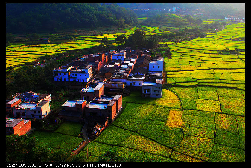 ����ɽ���� 033_nEO_IMG.jpg