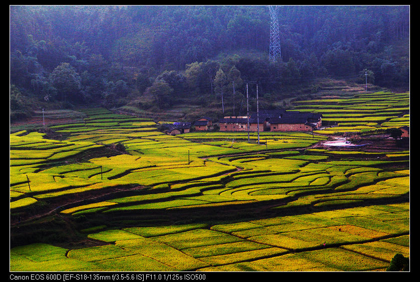 ����ɽ���� 043_nEO_IMG.jpg