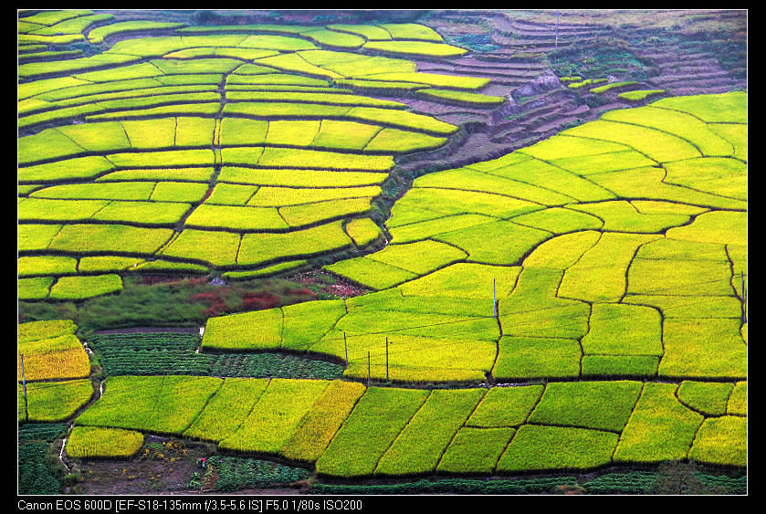 ����ɽ���� 086_nEO_IMG.jpg